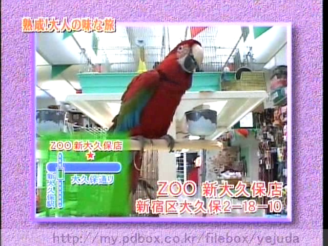 44 AraWaza (20050212).avi_20250908_124748.238