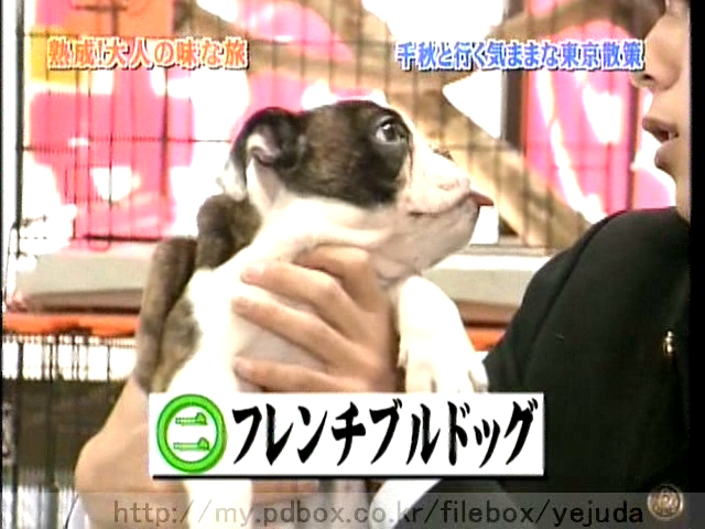 44 AraWaza (20050212).avi_20250908_124914.539