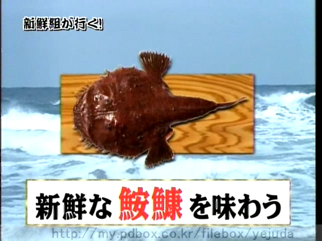 44 AraWaza (20050212).avi_20250908_131123.089