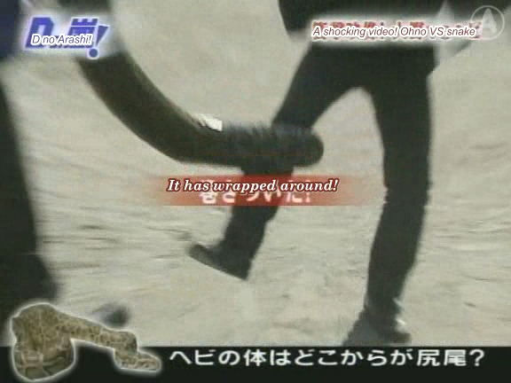 D no Arashi 2004.03.23 ep.038.avi_20250718_110351.093