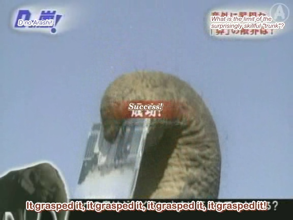 D no Arashi 2004.03.23 ep.038.avi_20250718_110817.638