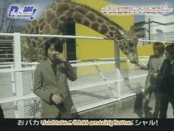 D no Arashi 2004.03.23 ep.038.avi_20250718_111323.013