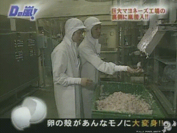 D no Arashi 2004.05.26 ep.047.avi_20250807_140449.708