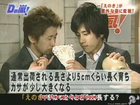 D no Arashi 2004.07.07 ep.053.avi_20250809_143000.722