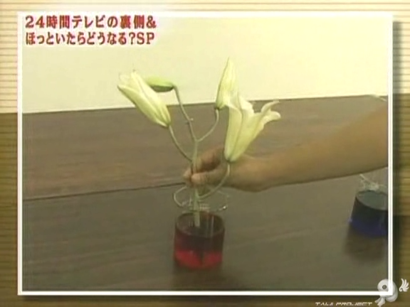 D no Arashi 2004.08.25 ep.060.avi_20250815_163516.906