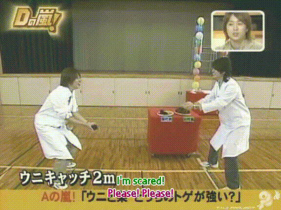 D no Arashi 2004.12.08 ep.075.avi_20250831_124308.693