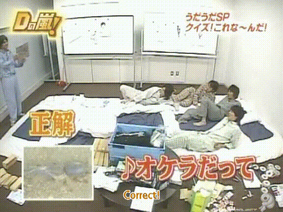 D no Arashi 2005.05.04 ep.095.avi_20250917_135922.048