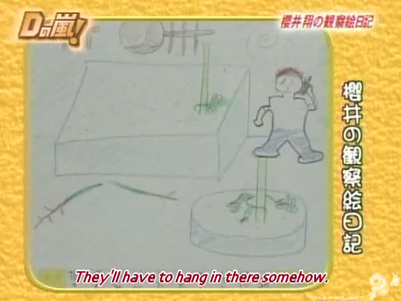 D no Arashi 2005.09.14 ep.114.avi_20251007_204807.835