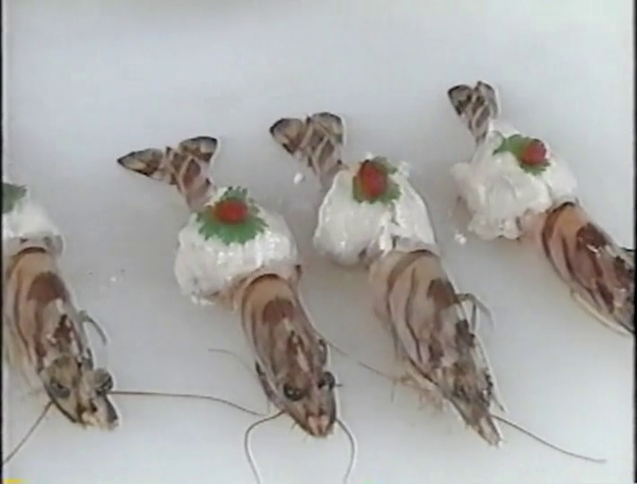 KBJ (1998.05.23) ep.03.mp4_000693004 (58)