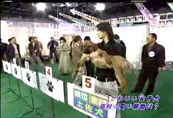 Nama Arashi #20 [2003.02.22].avi_001160234