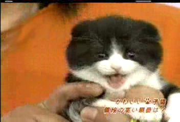 Nama Arashi #20 [2003.02.22].avi_001681804