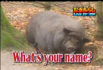 Nama Arashi #26 [2003.04.05].avi_20250422_115425.204