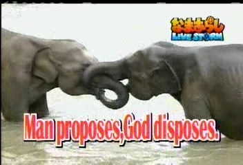 Nama Arashi #30 [2003.05.03].avi_20250513_125200.258