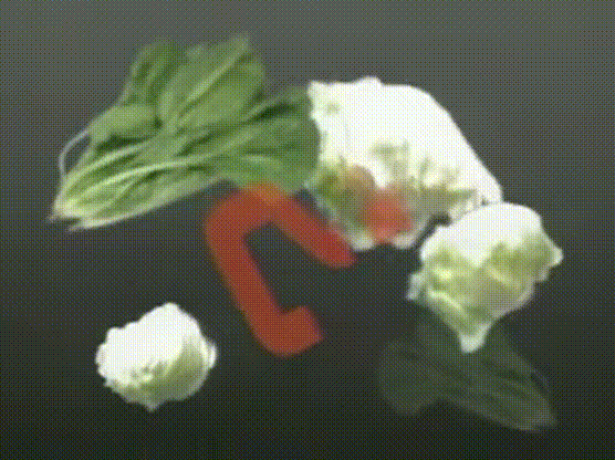 Tanken Homunculus (2003.10.15) ep.02.mp4_20250628_201933.374