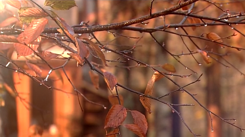 Yasashii Jikan E02 [856x480 x264].mkv_20250903_114527.217