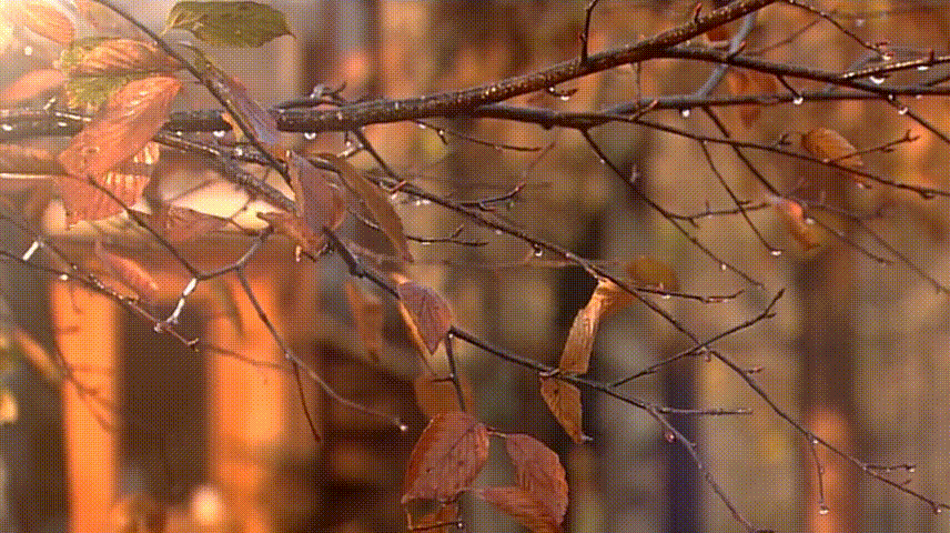 Yasashii Jikan E02 [856x480 x264].mkv_20250903_114528.415