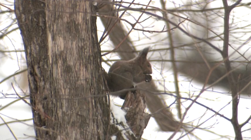 Yasashii Jikan E10 [856x480 x264].mkv_20250911_132848.692