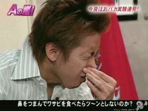 G no Arashi 2005.12.14 ep.11 [Taiji Project fansub].avi_20251020_081223.993