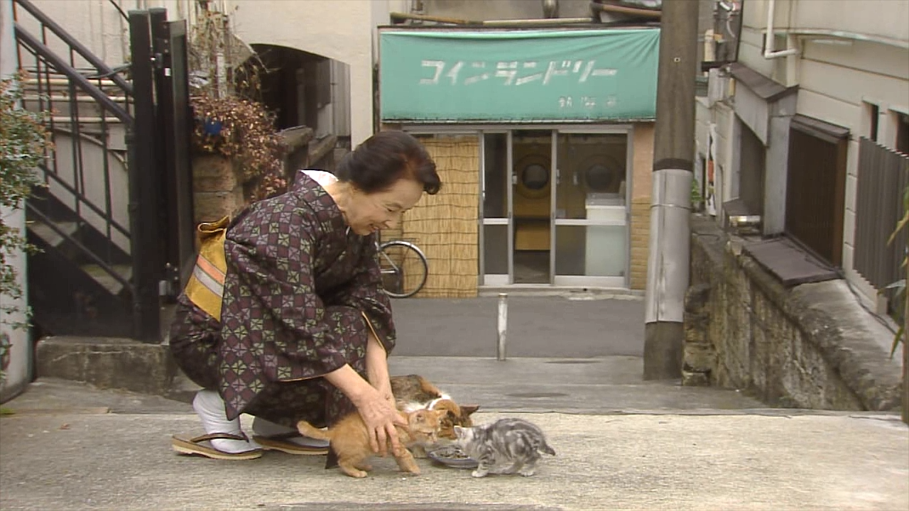 Haikei, Chichiue-sama 01 [1280x720 DivX].avi_20251226_144843.227